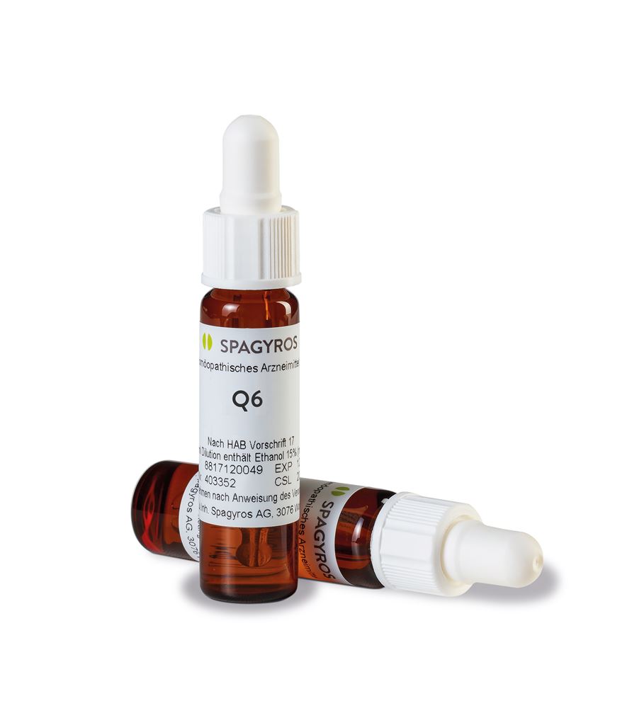 Spagyros Sepia officinalis 6 Q, Hauptbild