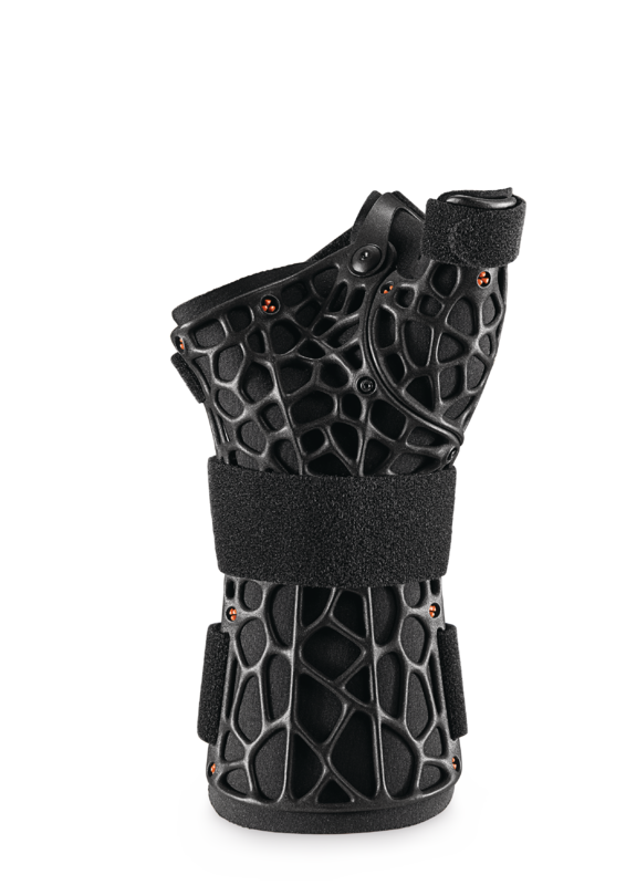 , immagine principale