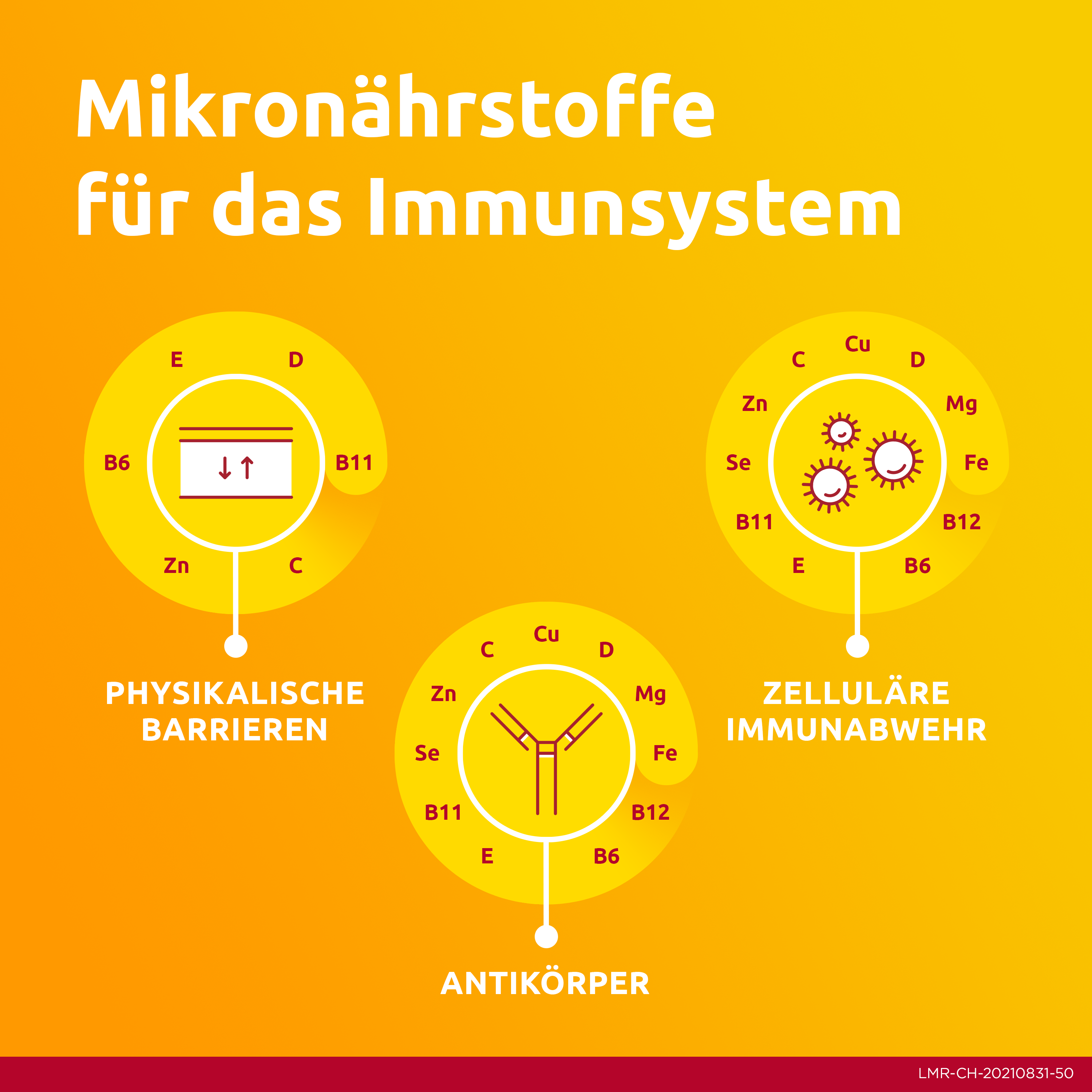 SUPRADYN energy-eisen Sticks, Bild 3 von 6