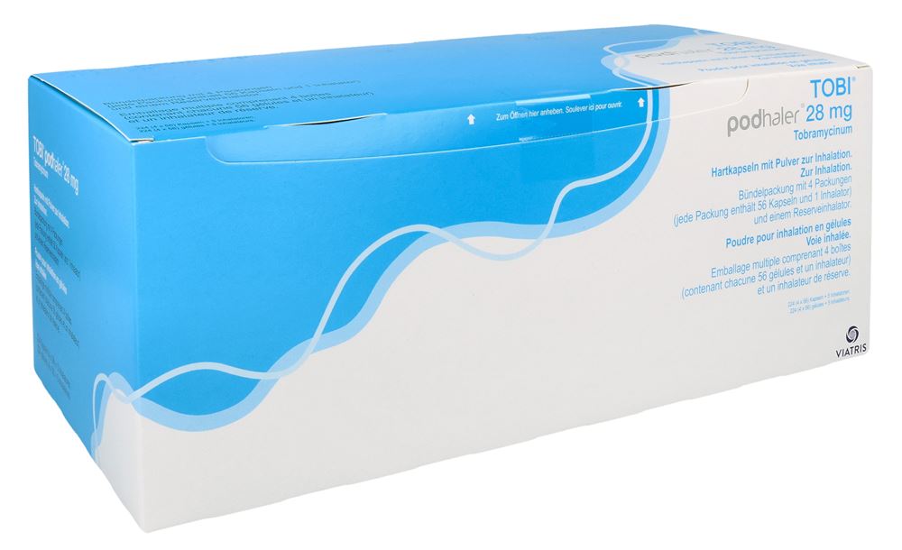 , immagine principale , immagine principale