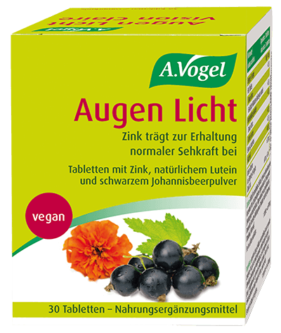 VOGEL Augen Licht, Hauptbild