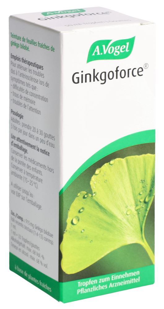 VOGEL Ginkgoforce, Hauptbild