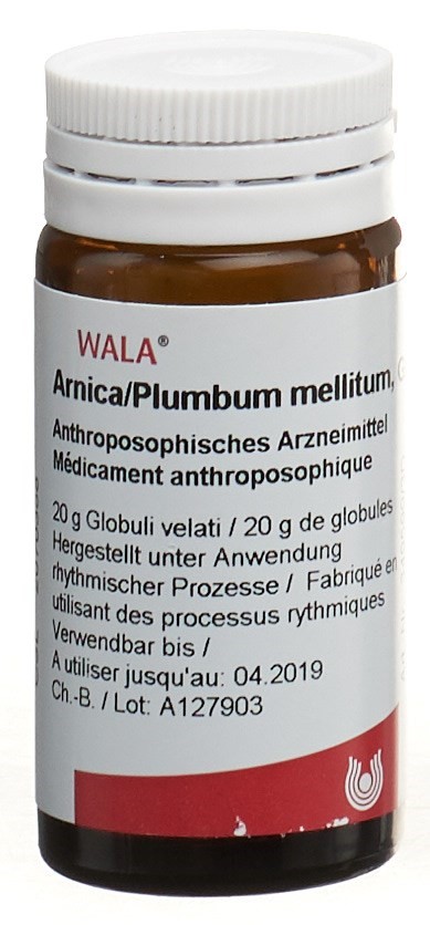 WALA Arnica/Plumbum mellitum, Hauptbild