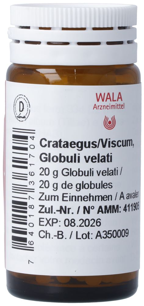WALA Crataegus/Viscum, Hauptbild