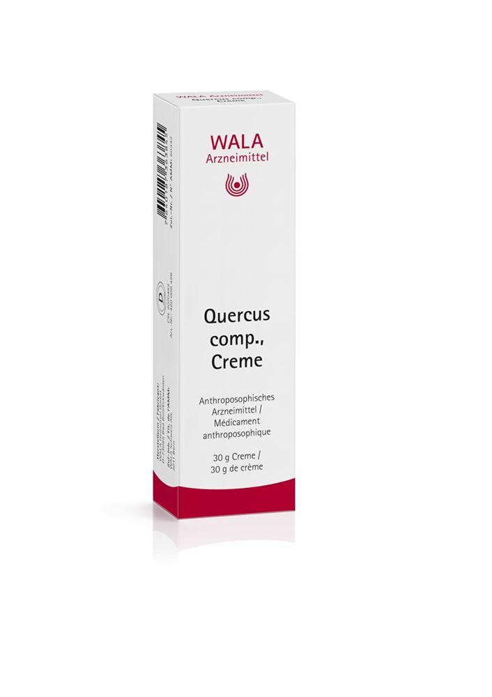 , immagine principale